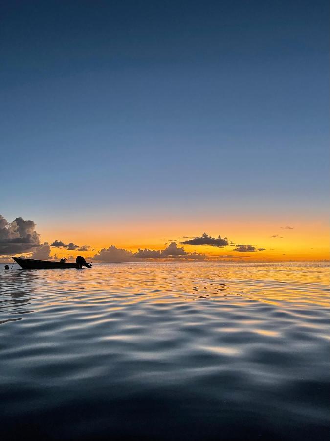 Sunset Appart, T2 Avec Vue Mer Et Plage A 1 Km Ле Карбе Екстериор снимка