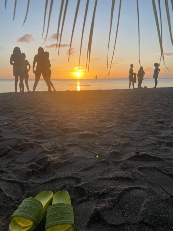 Sunset Appart, T2 Avec Vue Mer Et Plage A 1 Km Ле Карбе Екстериор снимка